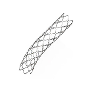 Stent